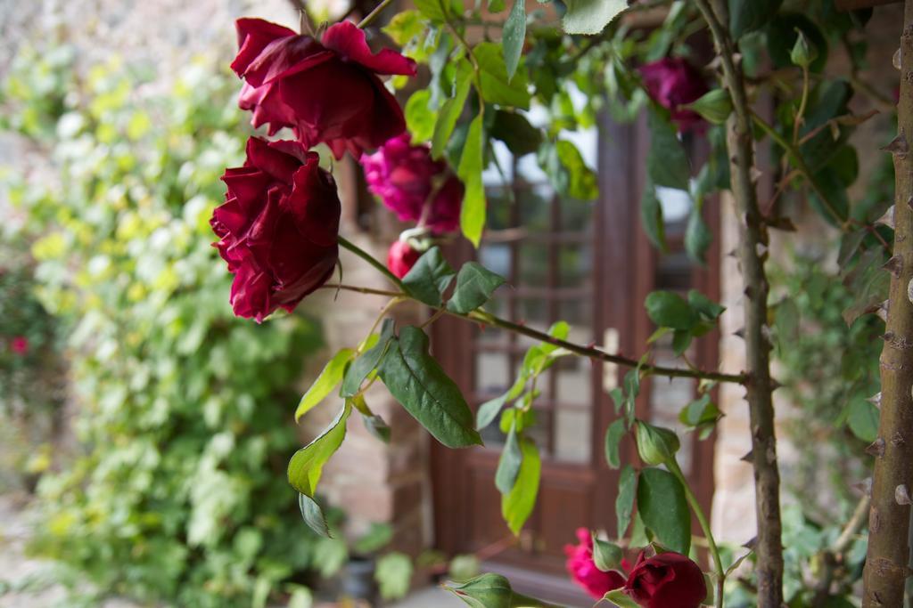 Relais Saint Aubin Bed & Breakfast Erquy Exterior photo
