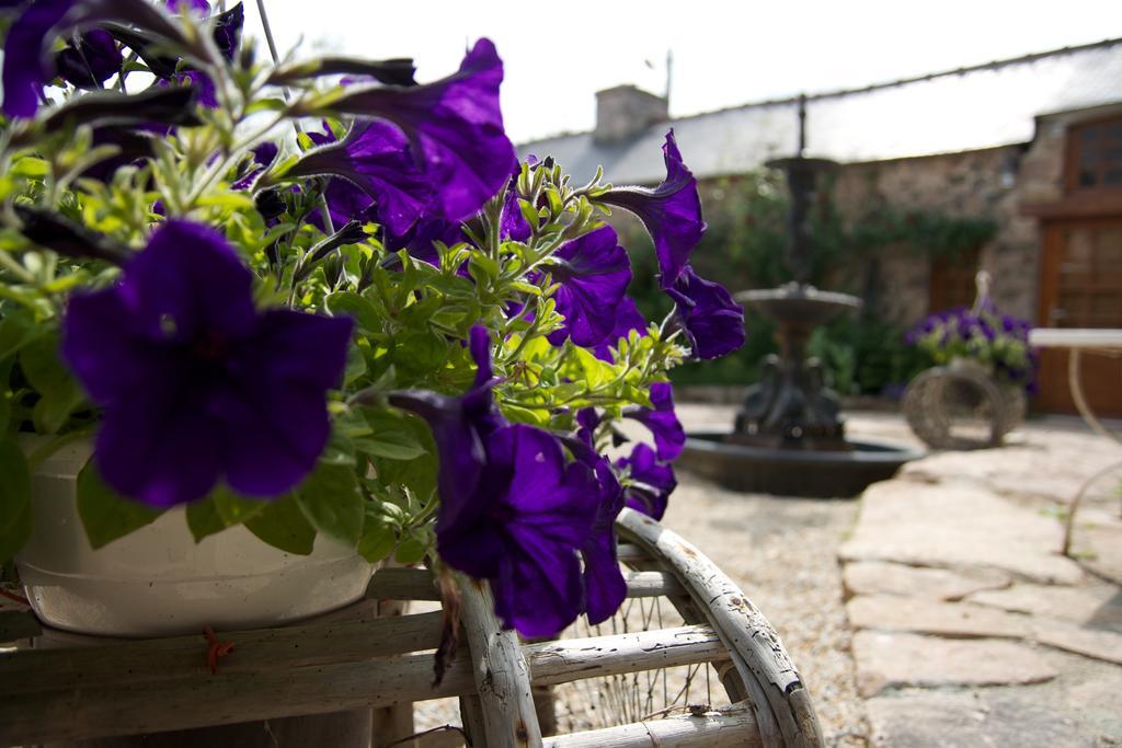 Relais Saint Aubin Bed & Breakfast Erquy Exterior photo